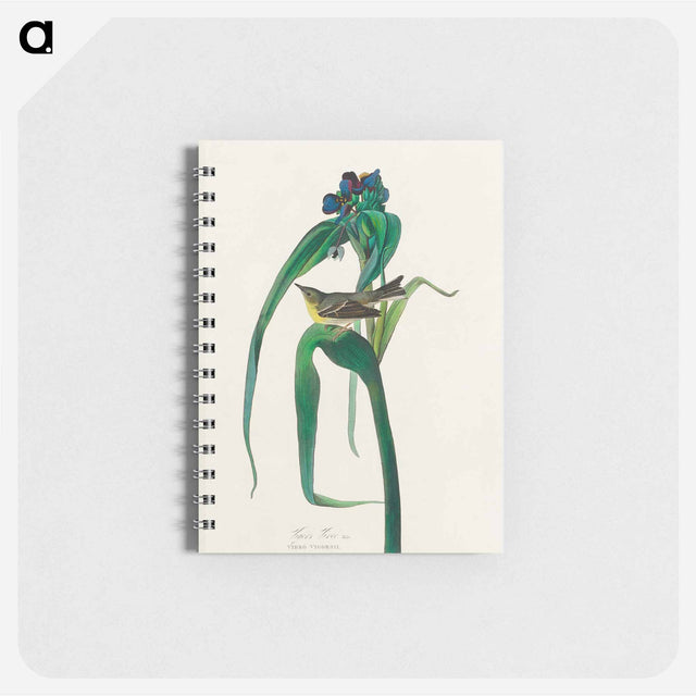アートメモ帳-Vigors Vireo from Birds of America
 - アメリカの鳥たち Memo.