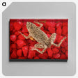 3-61_COVID-19_canvas