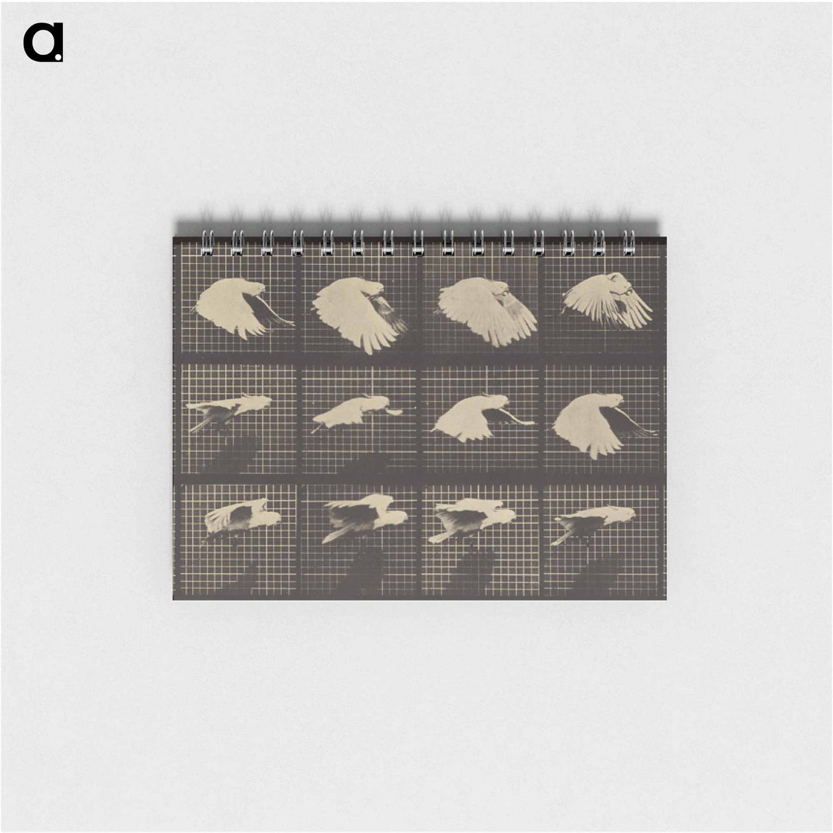 アートメモ帳-Animal Locomotion
 - エドワード マイブリッジ Memo.