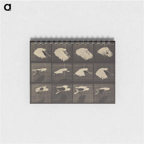 アートメモ帳-Animal Locomotion
 - エドワード マイブリッジ Memo.