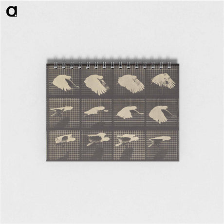 アートメモ帳-Animal Locomotion
 - エドワード マイブリッジ Memo.