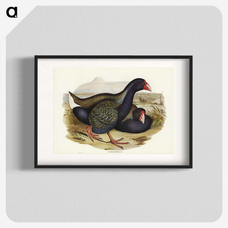 3-61_John-Gould_blk