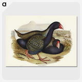 3-61_John-Gould_picture-crop