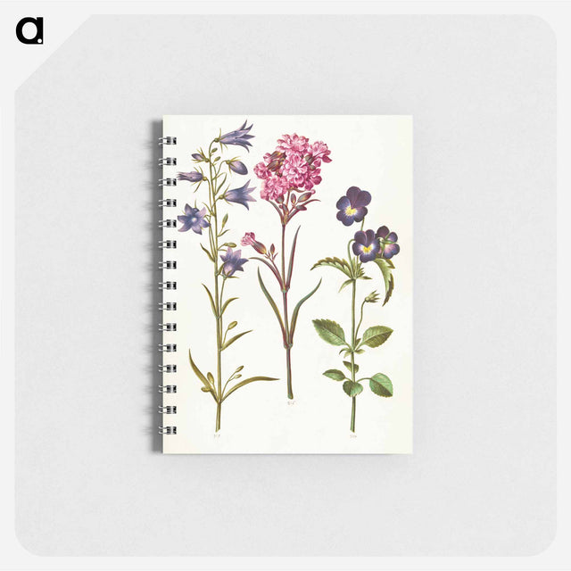 アートメモ帳-Campanula, Silene, and Viola
 - マリア ジビーラ メーリアン Memo.