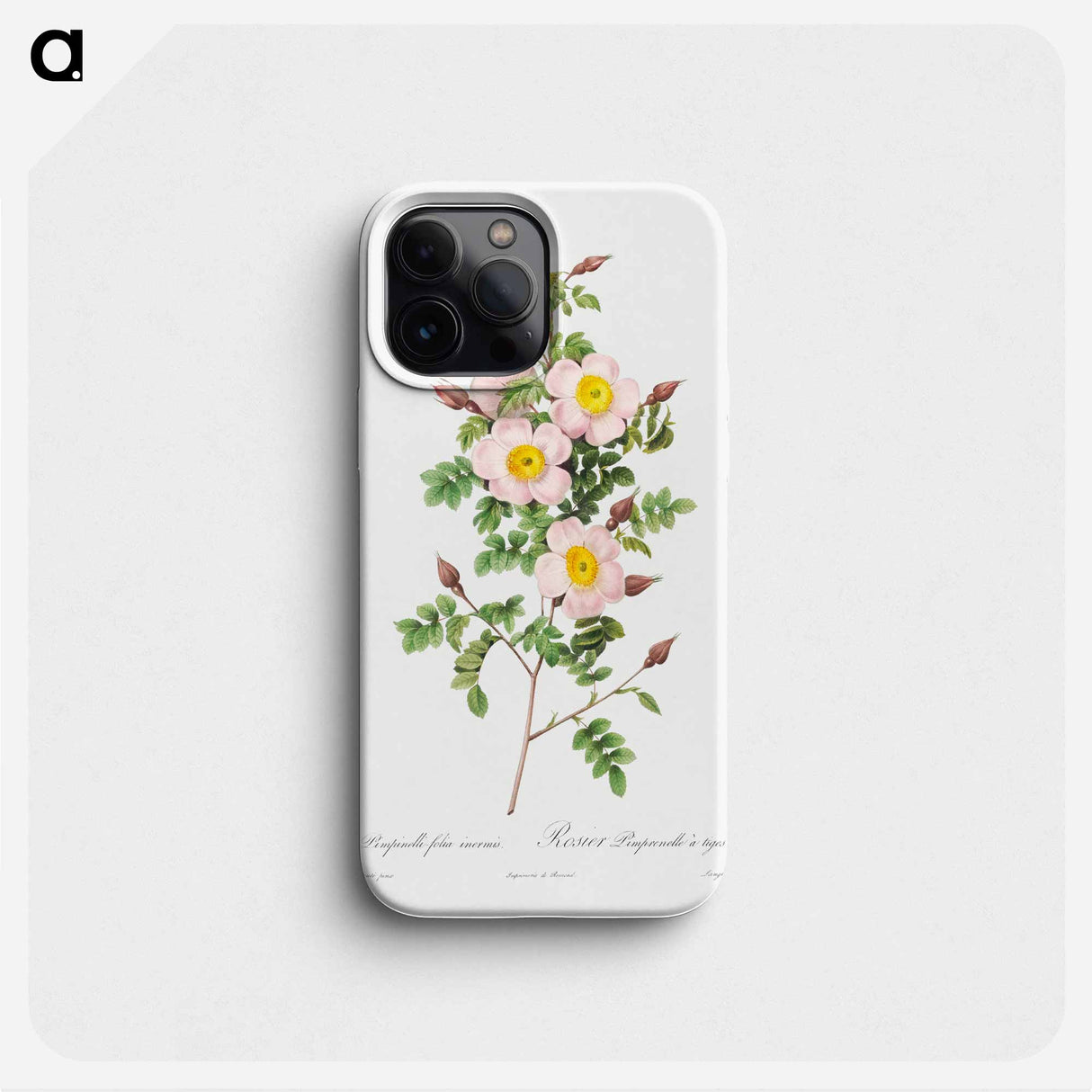 Rosa pimpinellifolia - Pierre Joseph Redouté Phone Case.