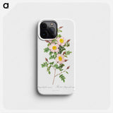 Rosa pimpinellifolia - Pierre Joseph Redouté Phone Case.