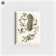 アートメモ帳-Chesnut-backed Titmouse, Black-capt Titmouse and Chesnut-crowned Titmouse from Birds of America
 - アメリカの鳥たち Memo.