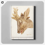 Head of a deer - アンセルムス ボエティウス デ ブート Canvas.