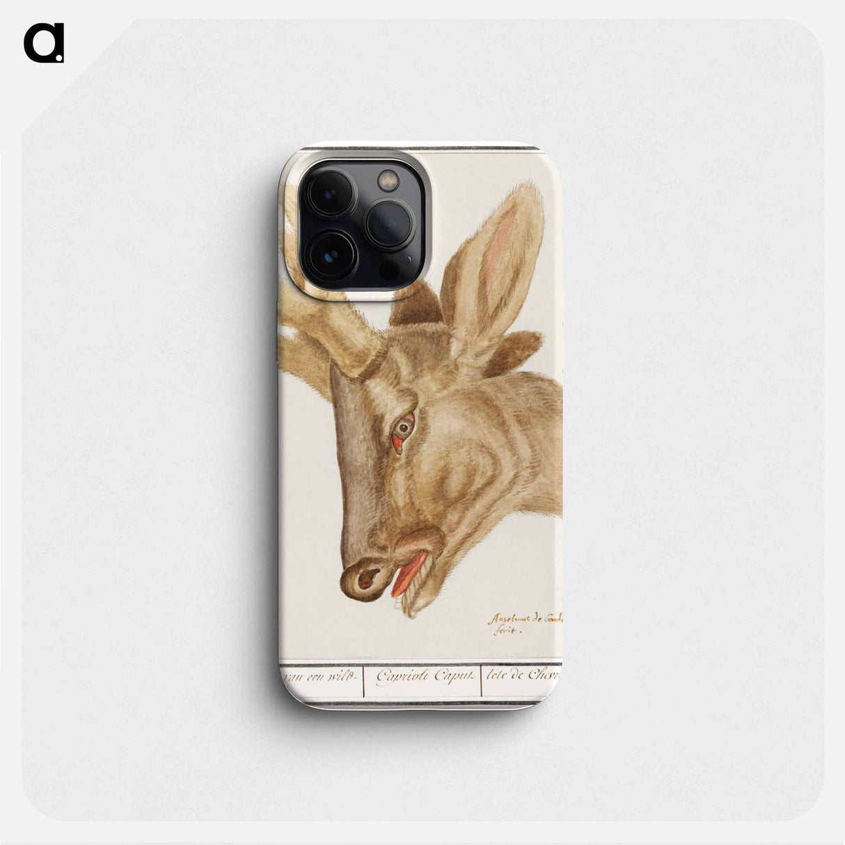 Head of a deer - アンセルムス ボエティウス デ ブート Phone Case.