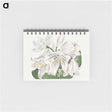 アートメモ帳-White Cape-Coast Lily
 - クリーブランド美術館 Memo.