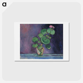 アートポストカード-Geranium - アンリ マティス Postcard.