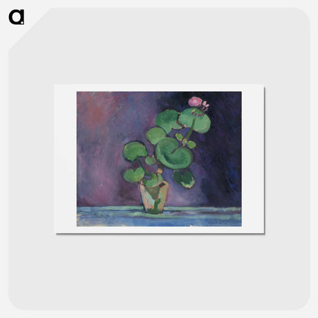 アートポストカード-Geranium - アンリ マティス Postcard.