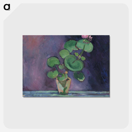 アートポストカード-Geranium - アンリ マティス Postcard.