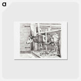 アートポストカード-Standing cow - ジャン ベルナール Postcard.