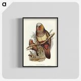 3-62_John-Gould_blk-crop