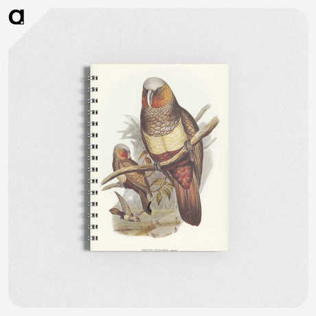3-62_John-Gould_memo