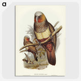 3-62_John-Gould_picture-crop