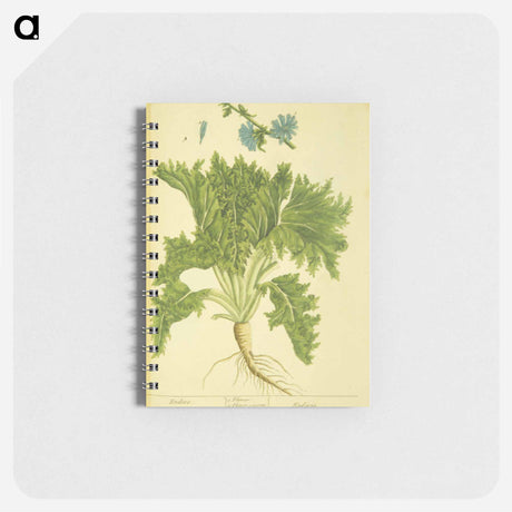 アートメモ帳-Endivia
 - 国立医学図書館 Memo.