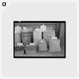 アートポストカード-Seed Display
 - ラッセル リー Postcard.