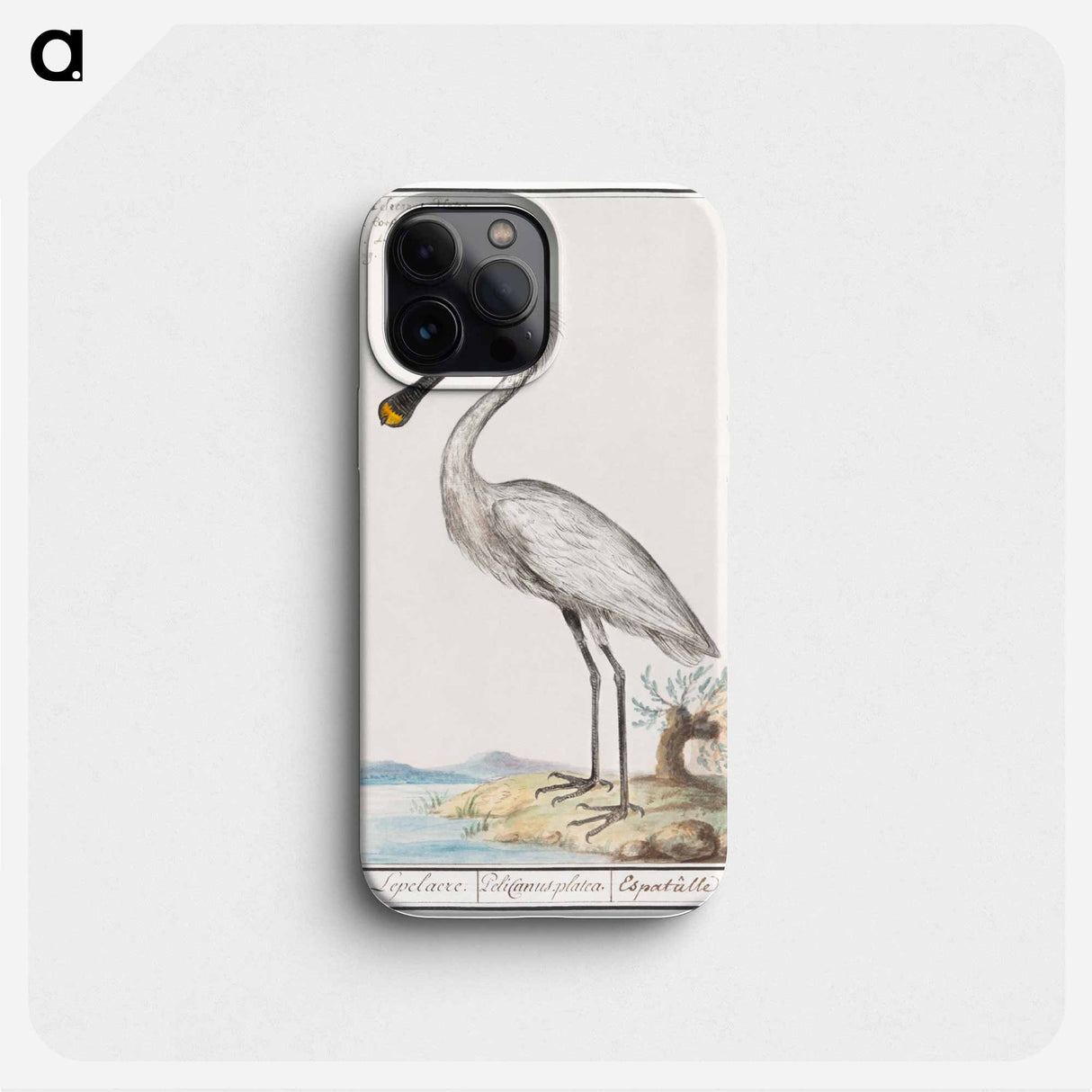 Spoonbill - アンセルムス ボエティウス デ ブート Phone Case.