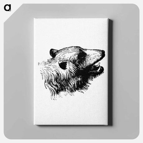 アートパネル-Bear Engraving
 - 大英図書館 Canvas.