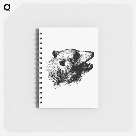 アートメモ帳-Bear Engraving
 - 大英図書館 Memo.