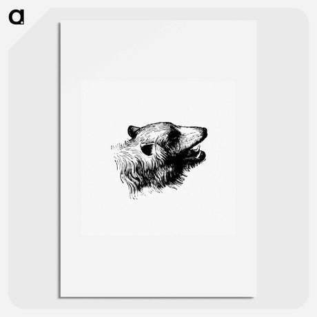 アートポスター-Bear Engraving
 - 大英図書館 Poster.