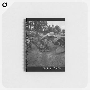 アートメモ帳-Untitled photo - ドロテア ラング Memo.