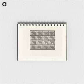 アートメモ帳-Elephant Walking
 - エドワード マイブリッジ Memo.