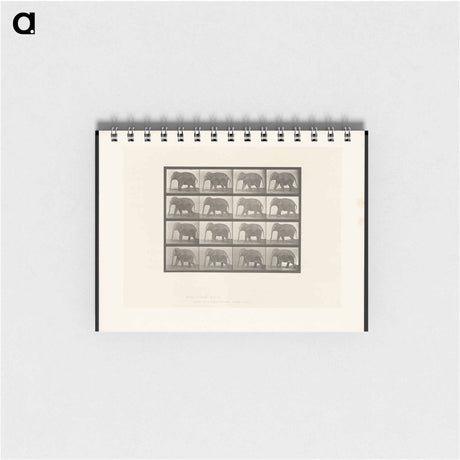 アートメモ帳-Elephant Walking
 - エドワード マイブリッジ Memo.