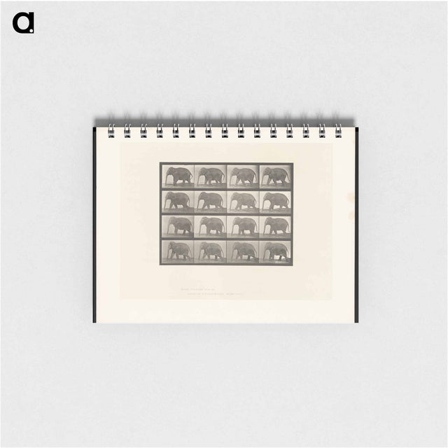 アートメモ帳-Elephant Walking
 - エドワード マイブリッジ Memo.