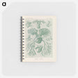 アートメモ帳-Ferns illustration from Kunstformen der Natur - エルンスト ヘッケル Memo.