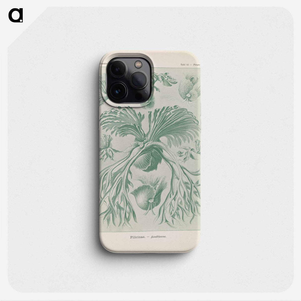 Ferns illustration from Kunstformen der Natur - エルンスト ヘッケル Phone Case.