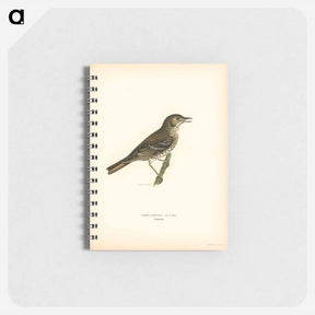 アートメモ帳-Redwing-Song Thrush
 - スヴェンスカ フォグラル Memo.