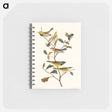 アートメモ帳-Black-throated green Warbler, Blackburnian and Mourning Warbler from Birds of America
 - アメリカの鳥たち Memo.