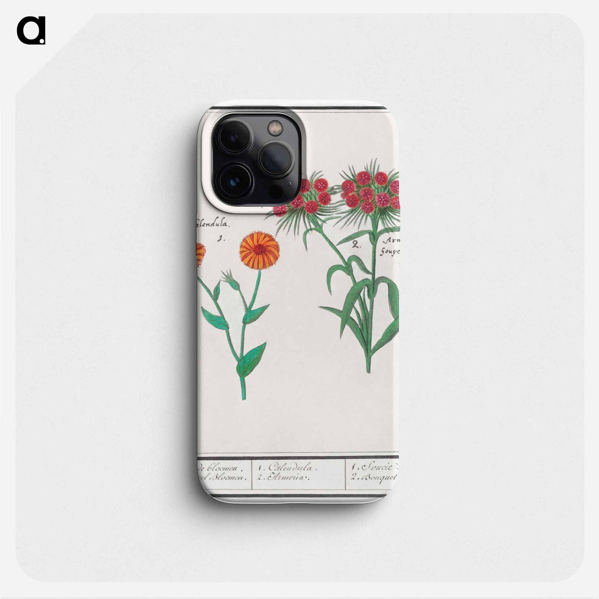 Marigold, calendula, and daisy, dianthus barbatus - アンセルムス ボエティウス デ ブート Phone Case.