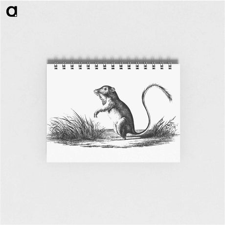 アートメモ帳-Perognathus
 - 大英図書館 Memo.