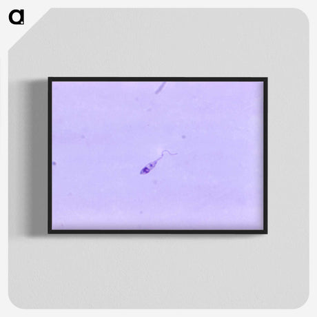 3-64_COVID-19_blk-crop