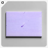3-64_COVID-19_canvas