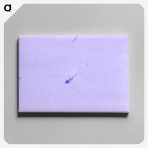 3-64_COVID-19_canvas