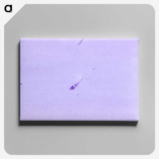 3-64_COVID-19_canvas