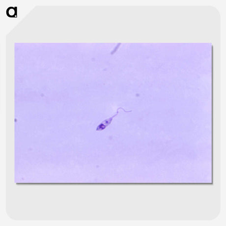3-64_COVID-19_picture-crop