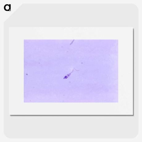 3-64_COVID-19_picture
