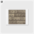 アートポストカード-Animal Locomotion
 - エドワード マイブリッジ Postcard.