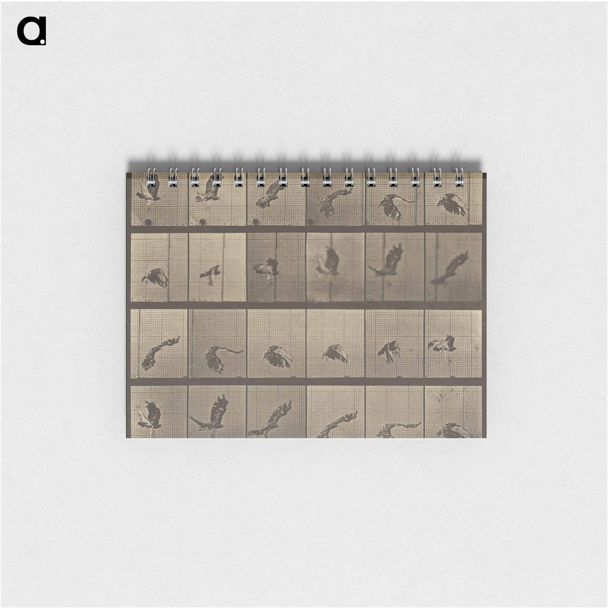 アートメモ帳-Animal Locomotion
 - エドワード マイブリッジ Memo.