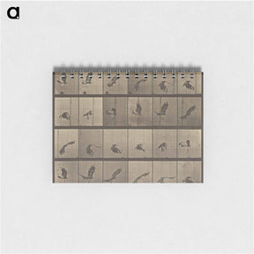 アートメモ帳-Animal Locomotion
 - エドワード マイブリッジ Memo.