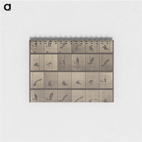 アートメモ帳-Animal Locomotion
 - エドワード マイブリッジ Memo.
