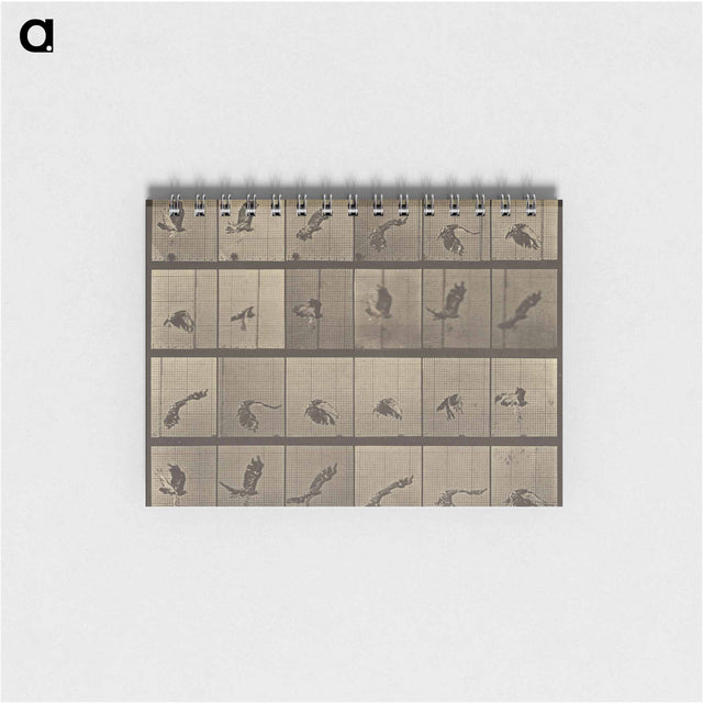 アートメモ帳-Animal Locomotion
 - エドワード マイブリッジ Memo.