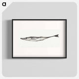 Fish - ジャン ベルナール Poster.