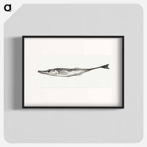 アートポスター-Fish - ジャン ベルナール Poster.